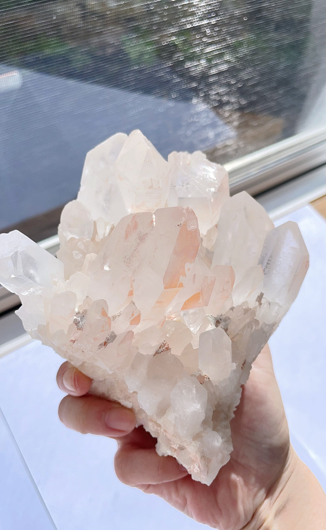 Himalaya Quartz Pink Clear Cluster Statement