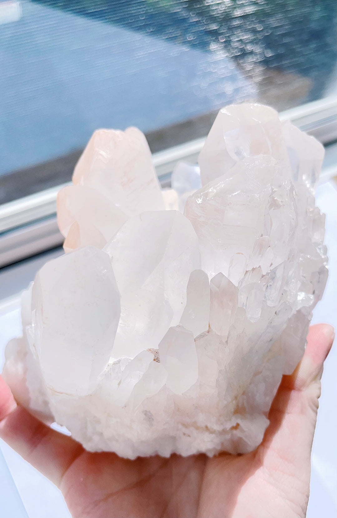 Himalaya Quartz Pink Clear Cluster Statement